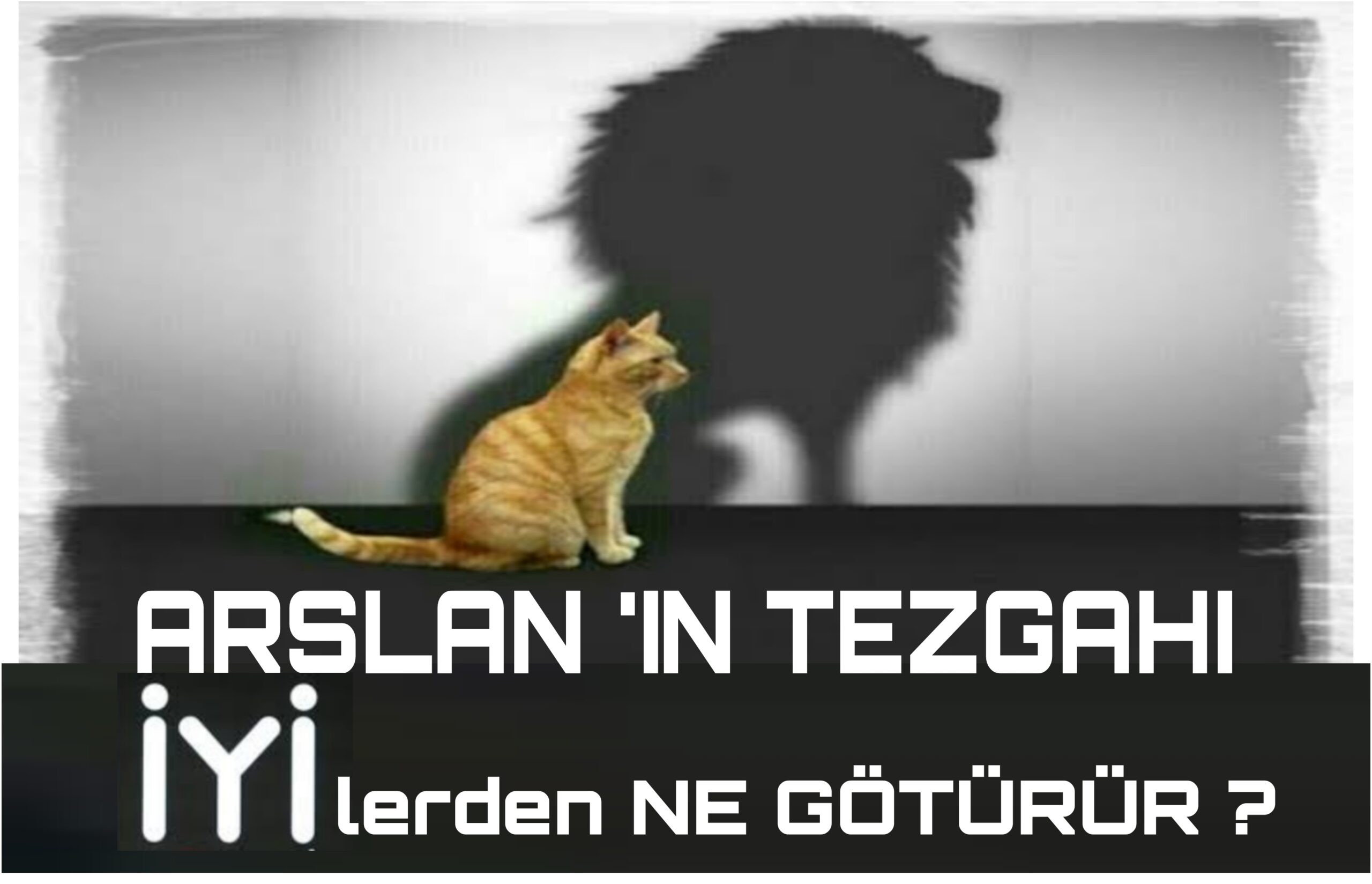 Picsart_22-11-27_19-51-45-433