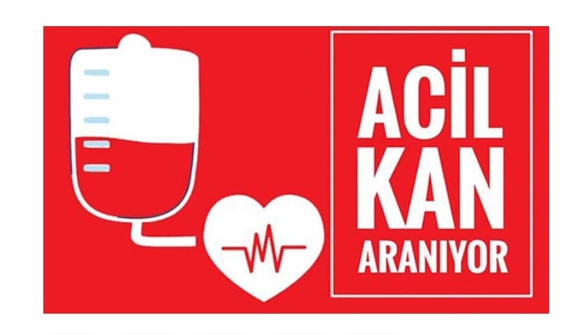 Screenshot_20240807_181146_Lite