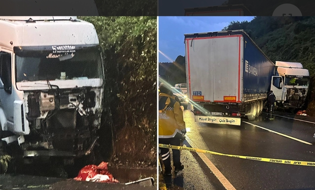 Screenshot_20240924_023725_Telegram