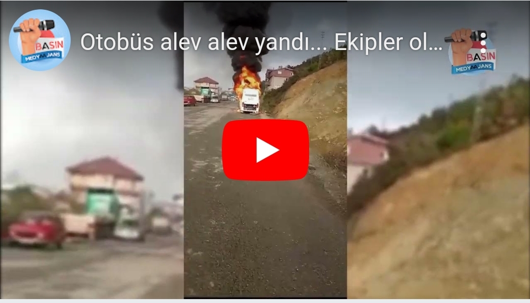 Screenshot_20241007_131222_Lite