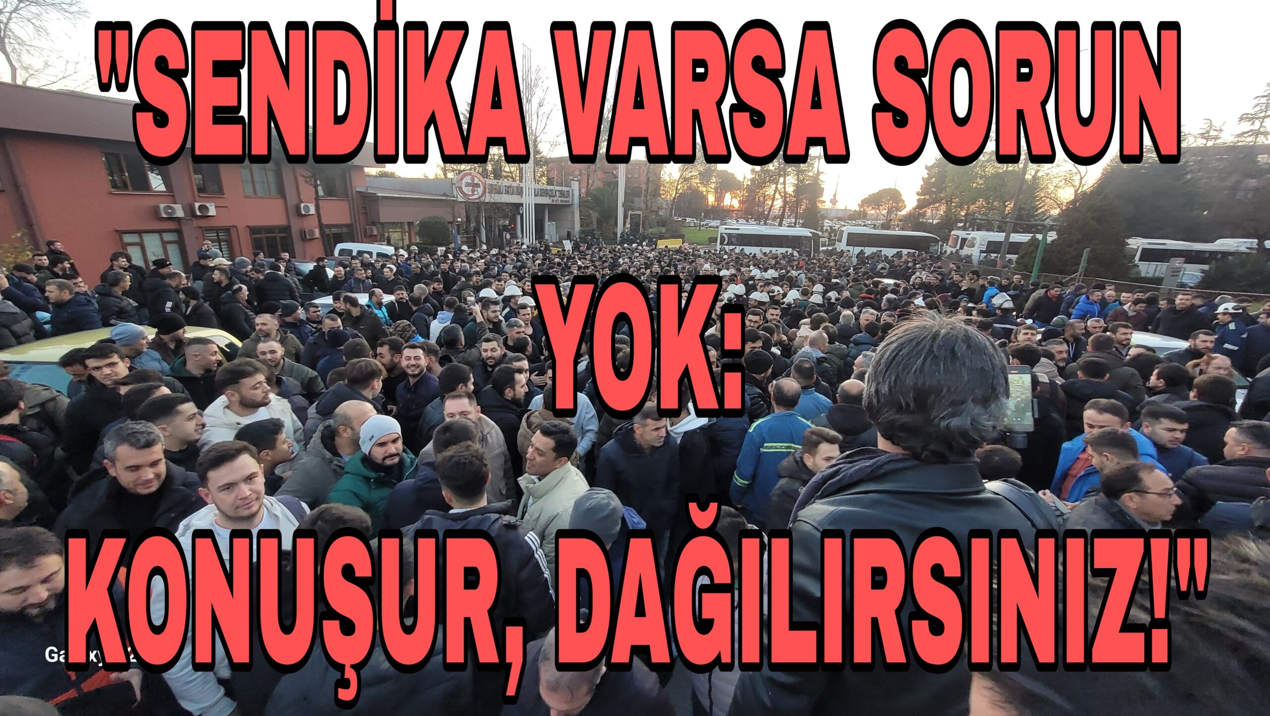 Picsart_24-12-17_19-32-11-049