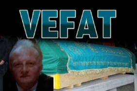 Picsart_25-03-20_13-49-44-489