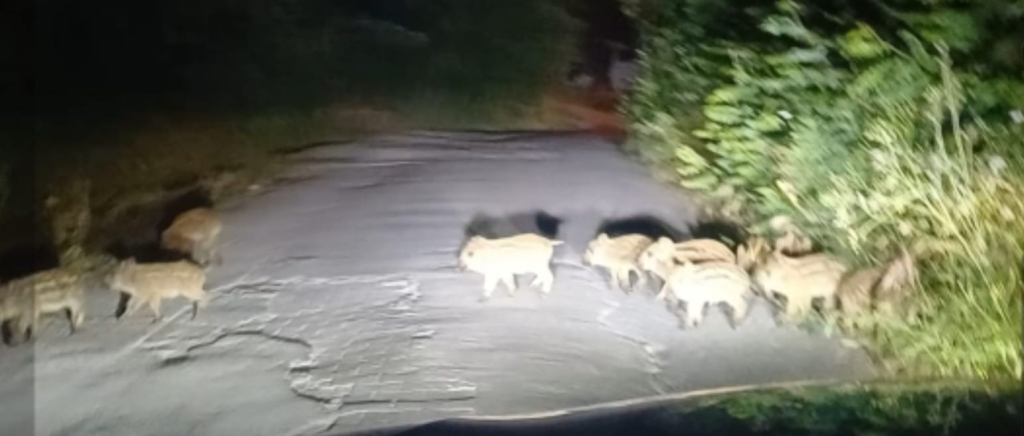 Picsart_25-07-04_09-48-07-376