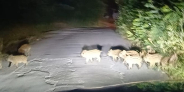 Picsart_25-07-04_09-48-07-376