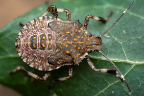 IMG_20251012_005707_842