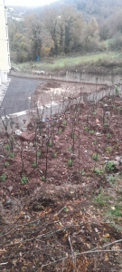 IMG-20251222-WA0007