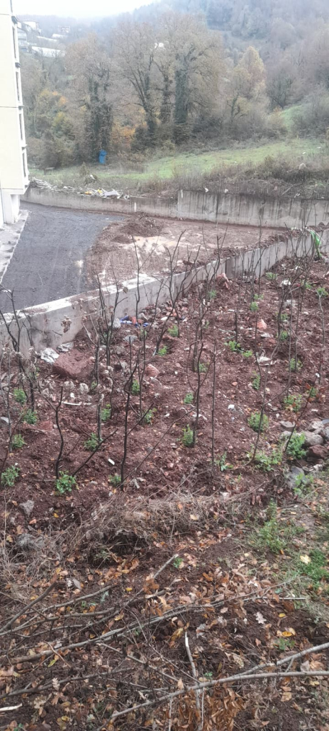 IMG-20251222-WA0007