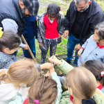 15217df1-ebc7-424f-9c5c-1dd7b5e9d809