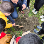 3e4814d1-b8e2-4309-b66d-7eeae1726116