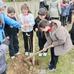 47a3b5d1-46db-4823-990e-a8ec16d34fdc