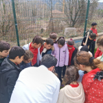 4d99559c-abb9-4158-9b10-3da50fb4907e