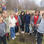 667dd7da-001e-40fa-8d6a-9542605c0a0b