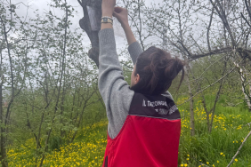 8e43d178-ae8f-49df-83ef-fcc6b9ff9283_8846782F-EDCE-4BDC-99BA-D864D9112950