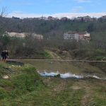 FB_IMG_1775311852805