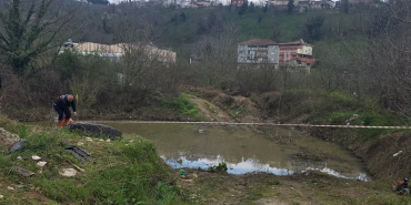 FB_IMG_1775311852805