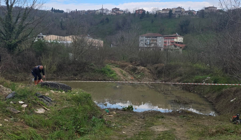 FB_IMG_1775311852805