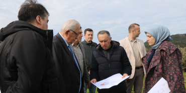 FB_IMG_1775475356119