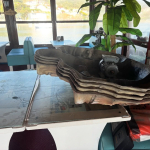 FB_IMG_1776768831208