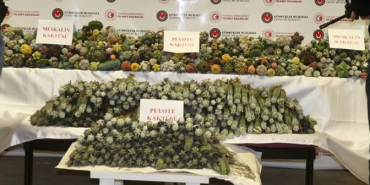 FB_IMG_1776801241071