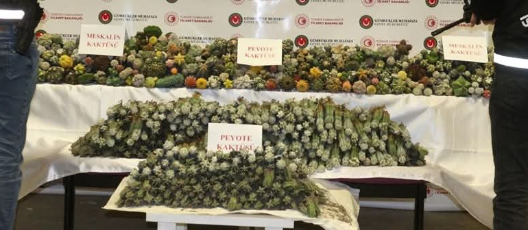 FB_IMG_1776801241071