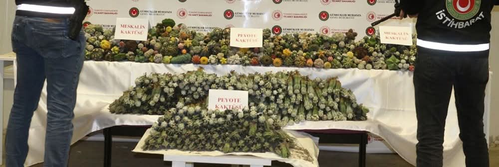 FB_IMG_1776801241071