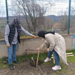 d273071f-c4c3-4ca2-b17f-b247f7763396