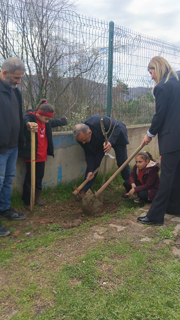 e309cab6-4173-430a-ba43-56da088e7b3d