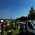 IMG-20260513-WA0010