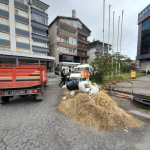 IMG-20260521-WA0012